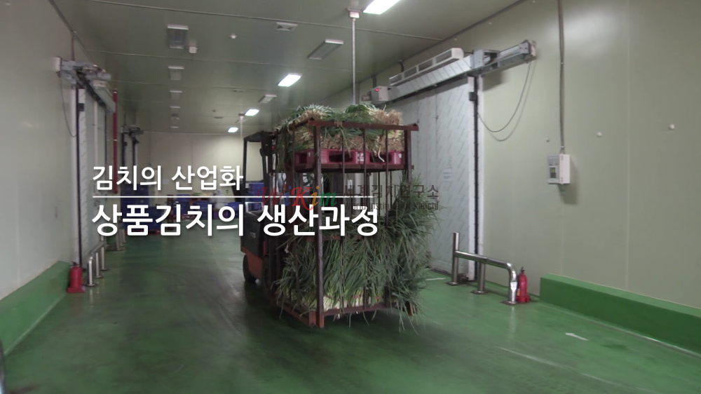 상품김치의 생산 과정 이미지