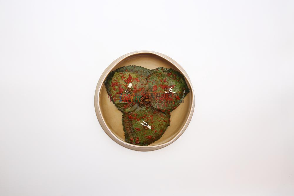 깻잎김치 이미지