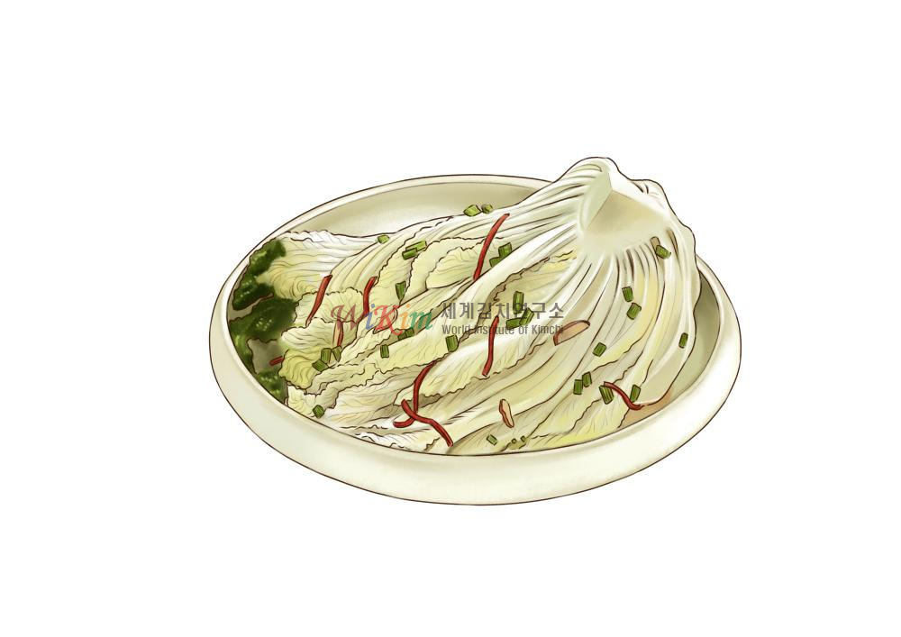 백김치(일러스트) 이미지