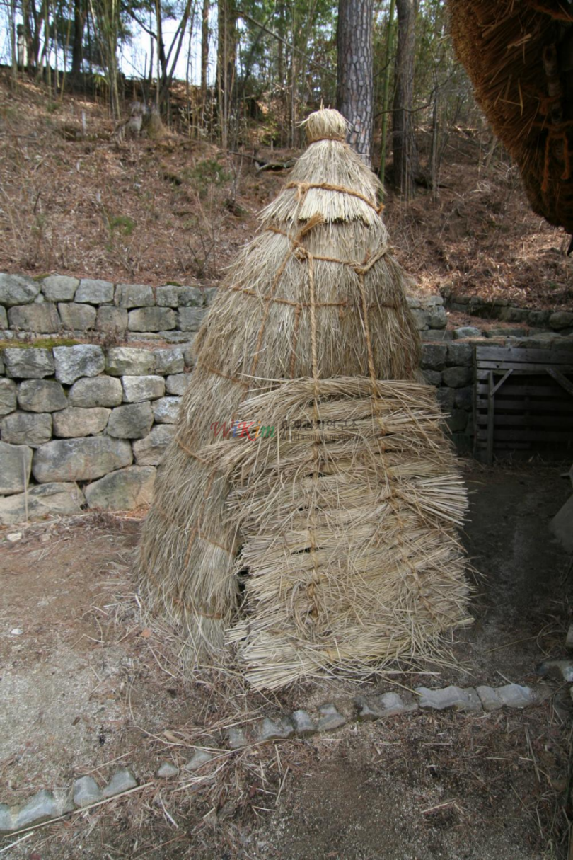 김치움 이미지