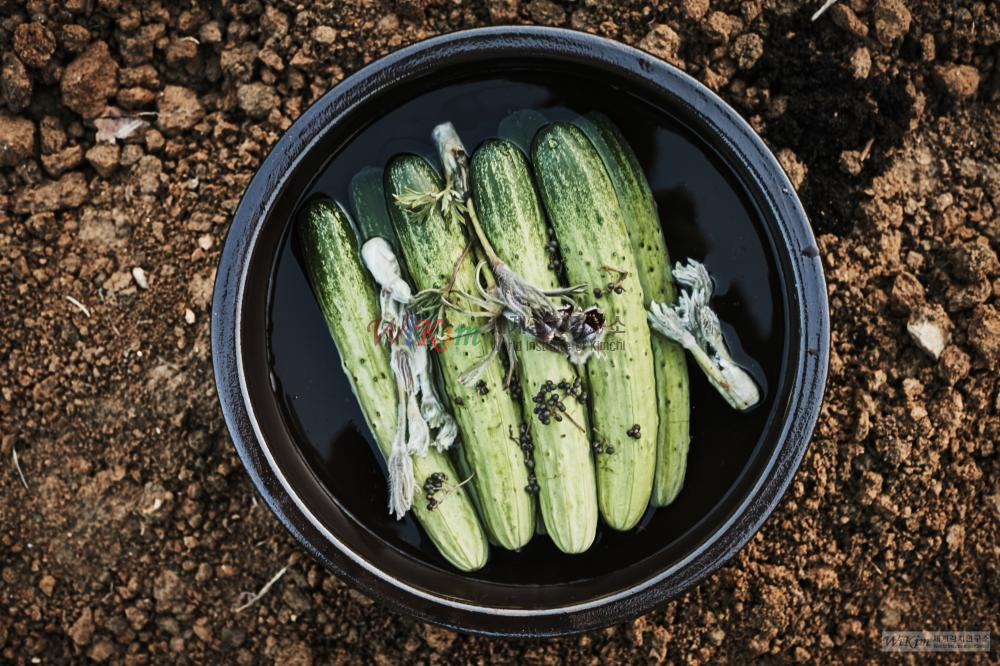 외팀채(최씨음식법) 이미지