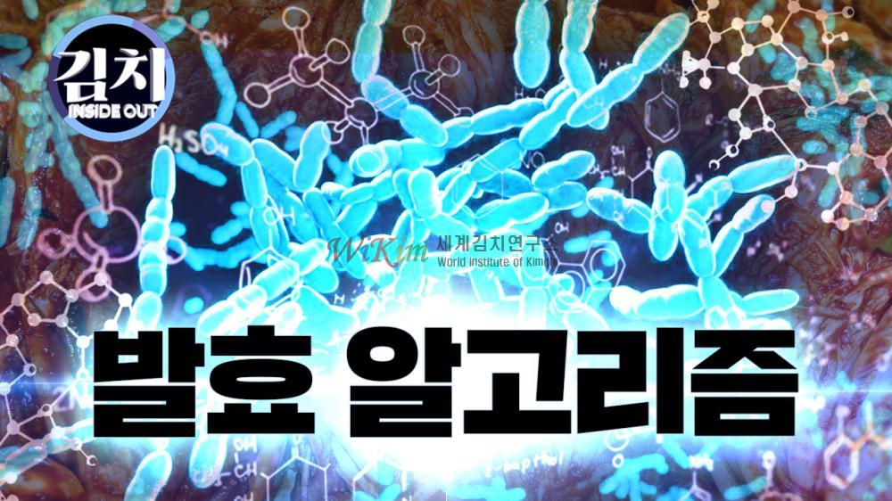 김치의 맛을 설계하는 과학, 종균의 비밀! 이미지