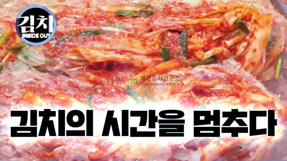 김치의 맛과 신선함을 지키는 과냉각의 과학 이미지