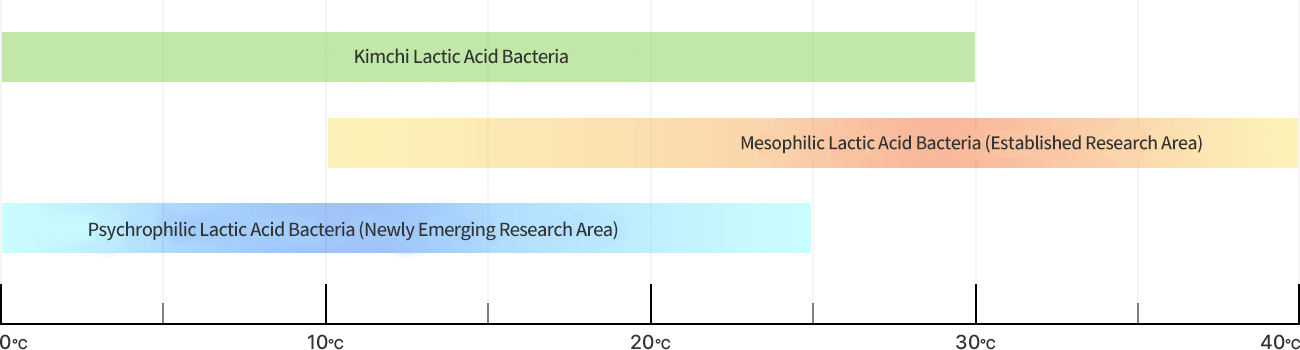 저온생육능 김치유산균 개요 관련 이미지