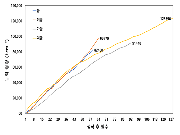 그래프 이미지 1