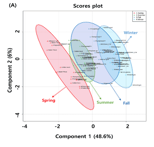 그래프 이미지 3