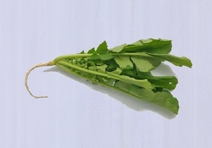 경기도 원료사진