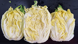 일반기탁 관련 사진