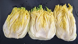 일반기탁 관련 사진