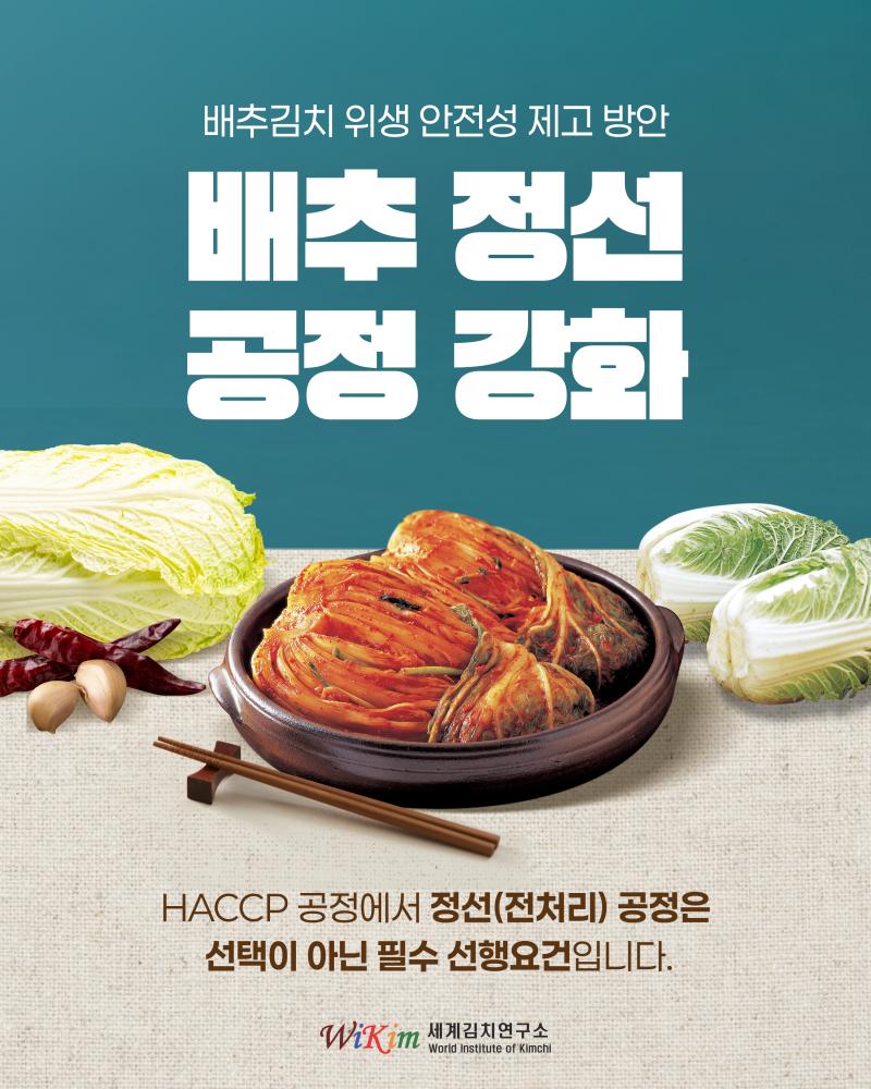 배추김치 위생 안전성 제고 방안! '배추 정선 공정 강화'