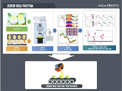 배추 무름병 실시간 분석기술 개발 관련 사진