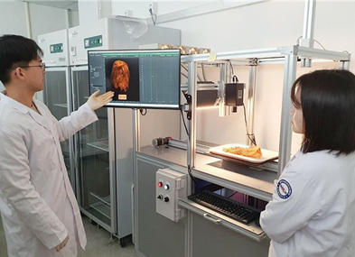 인공지능(AI)을 활용한 김치 생산 단계별 비파괴 품질검사 데이터세트 개발