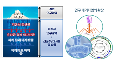 미개척 김치유래 생물자원 개발 관련이미지
