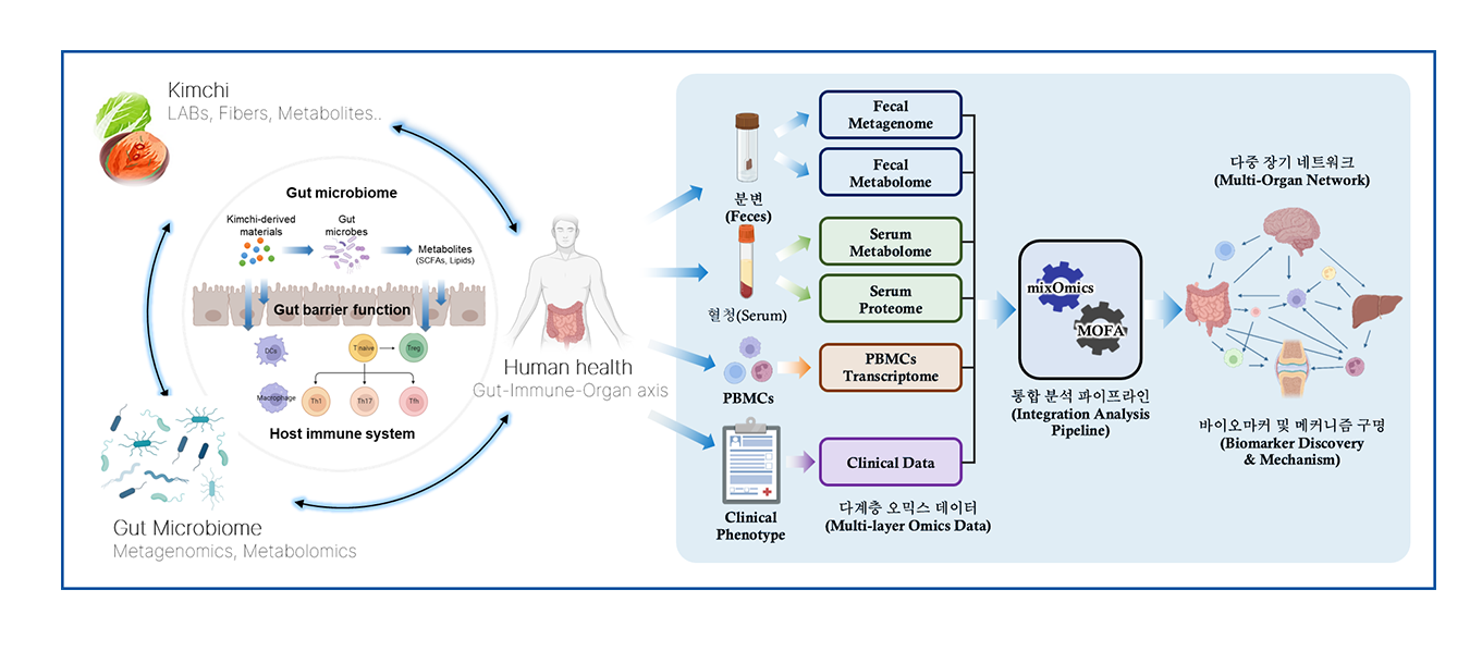 다중 오믹스 기반 통합 분석 모델 활용한 김치 건강 기능성 연구 관련이미지