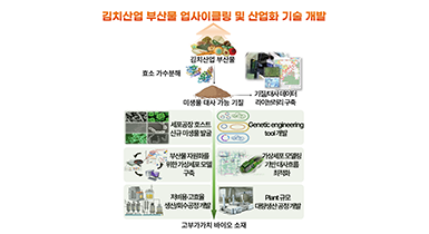 김치산업 부산물 업사이클링 기술 관련이미지