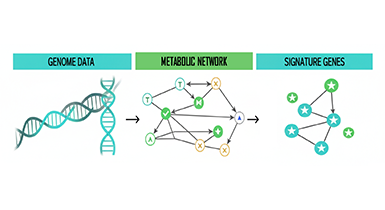 유전학적 특성 및 대사네트워크 기반 종균 선별 관련이미지