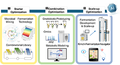 AI 기반 김치종균 산업화 최적화 플랫폼 관련이미지