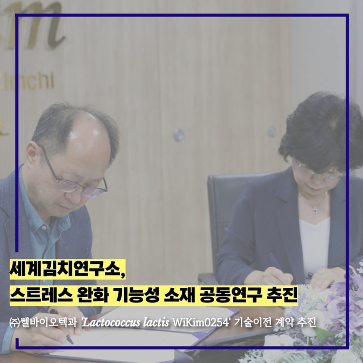 스트레스 개선 돕는 '김치 유산균' 탄생?! 세계김치연구소 - 쎌바이오텍 기술이전 계약 체결