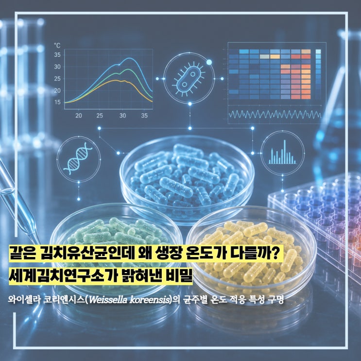같은 김치유산균인데 왜 생장 온도가 다를까? 세계김치연구소가 밝혀낸 비밀